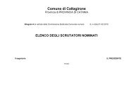 Elenco scrutatori sorteggiati - Comune di Caltagirone