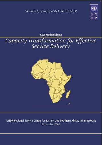 Capacity Transformation for Effective Service Delivery Capacity ...