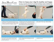 How to keep your dog fit, healthy and happy. - Tripawds Downloads