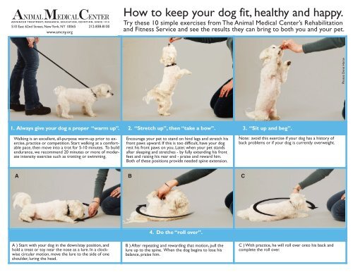 https://img.yumpu.com/35414699/1/500x640/how-to-keep-your-dog-fit-healthy-and-happy-tripawds-downloads.jpg