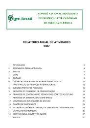 RELATÃRIO ANUAL DE ATIVIDADES 2007 - CigrÃ©-Brasil