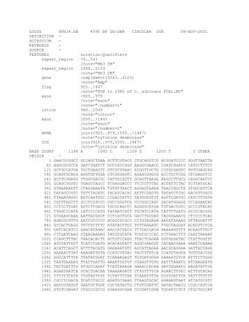 LOCUS PPH34.GB 4590 BP DS-DNA CIRCULAR SYN 08-NOV ...