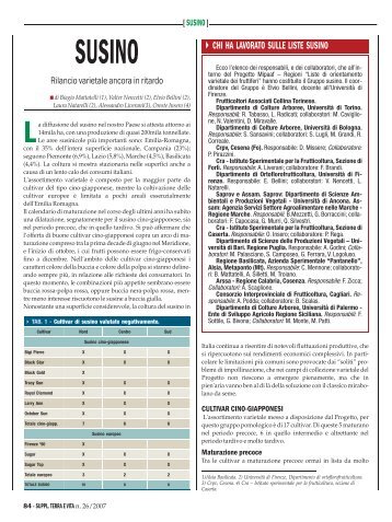 SUSINO - Regione Campania