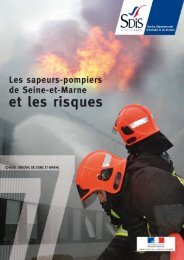 1e partie - Seine-et-Marne, les risques et ses acteurs (pdf ... - Sdis77