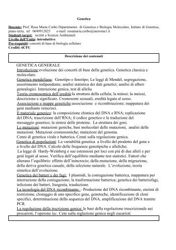 Scheda tipo per le singole unitÃ  didattiche (descrittori di Dublino)