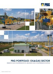 PBG PORTFOLIO: OIL&GAS SECTOR - PBG SA