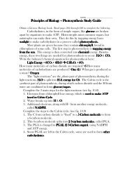 Photosynthesis Study Guide Photosynthesis Study Guide ...