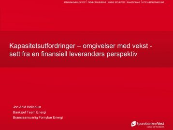 Kapasitetsutfordringer â sett fra en finansiell ... - Energi Norge