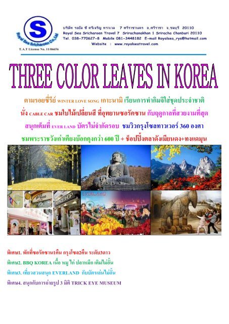 three color leaves in korea (à¸¤à¸à¸¹à¹à¸à¹à¸¡à¹à¸ªà¸²à¸¡à¸ªà¸µ) - RoyalSea Travel