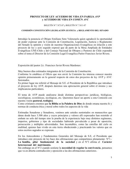 PROYECTO DE LEY ACUERDO DE VIDA EN PAREJA AVP y ... PROYECTO DE LEY ACUERDO DE VIDA EN PAREJA AVP y ...