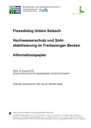 Hochwasserschutz und Sohlstabilisierung im Freilassinger Becken