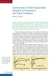 Cashew Nuts in North Queensland Respond to Phosphorus and ...
