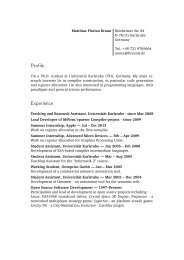 Curriculum Vitae of Matthias Braun