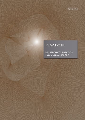 2010 Annual Report - Corporate Asia Network