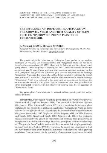 the influence of different rootstocks on the growth, yield and fruit ...