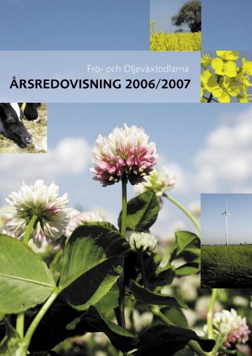 Ã…rsredovisning SFO 2007.indd - Svensk Raps