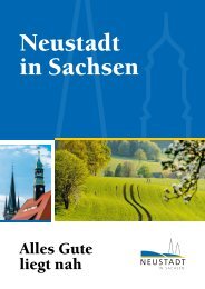 Neustadt in Sachsen