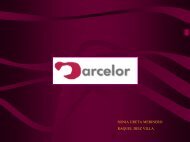 Arcelor - OMEGA