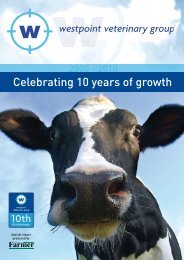 Celebrating 10 years of growth - Westpoint Veterinary Group