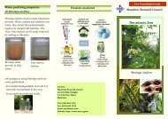 Moringa Oleifera - Mauritius Research Council