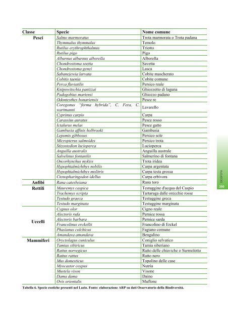 RAPPORTO SULLO STATO DELL'AMBIENTE DEL ... - Regione Lazio