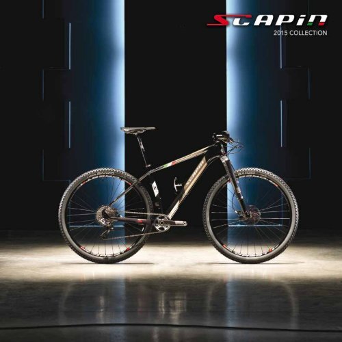 Scapin