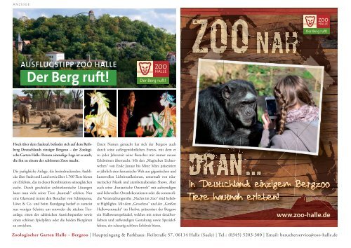 Urlaubsmagazin Lutherstadt Wittenberg 2019