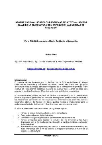 INFORME NACIONAL SOBRE LOS PROBLEMAS ... - UNDPCC.org