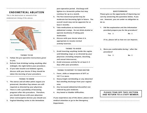 After Your Endometrial Ablation