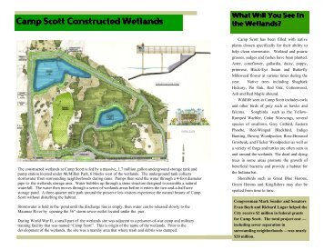 Camp Scott Wetlands - City of Fort Wayne