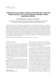 phenology of canopy trees in the ever-wet lowland forest mosaic of ...