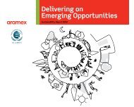 Delivering on Emerging Opportunities - Aramex.org