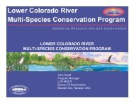 lower colorado river multi-species conservation program