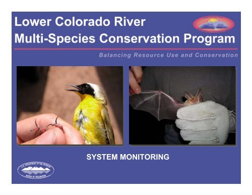 lower colorado river multi-species conservation program