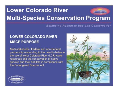 lower colorado river multi-species conservation program