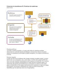 Integrales Periféricas Ancladas