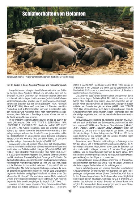 Schlafverhalten von Elefanten
