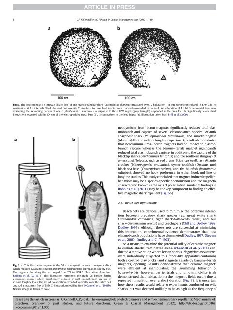 The emerging field of electrosensory and semiochemical shark ...