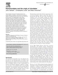 Hemichordates and the origin of chordates