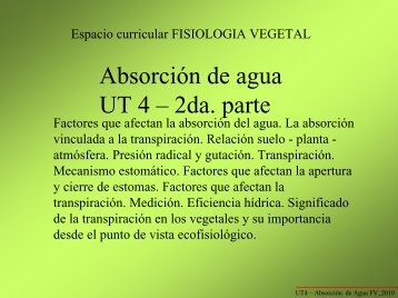 UT4_2da Parte Absorcion Agua_10.pdf