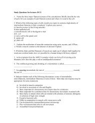 Study Questions for lectures 18-21 - Biology Courses Server