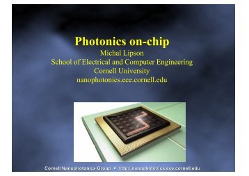 Cornell Nanophotonics Group - Axpfep1.if.usp.br