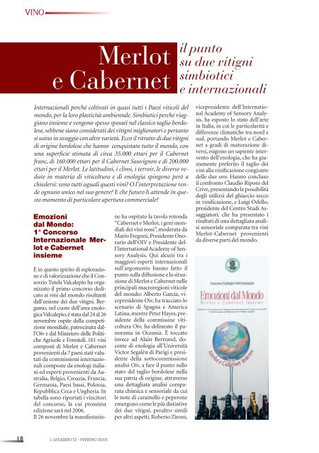 Merlot e Cabernet: il punto su due vitigni - Centro Studi Assaggiatori
