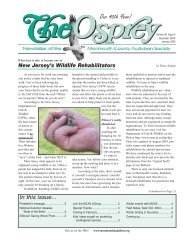 The Osprey, Monmouth County Audubon Society - National ...