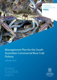 Blue Crab Fishery Management Plan - PIRSA - SA.Gov.au