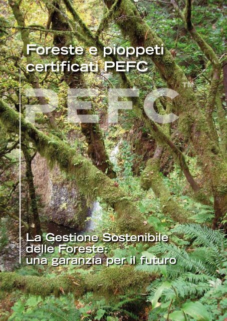 Catalogo Foreste e Aziende certificate - Vasfvgaltolivenza.it