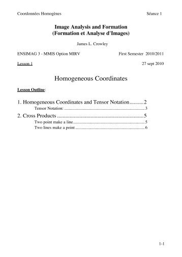1. Homogeneous Coordinates and Tensor Notation - PRIMA