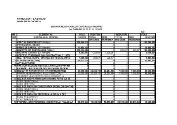 Descarca situatia modificarilor capitalului proprii - S.C. Rulmenti ...