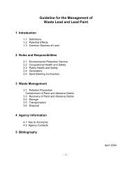 Guideline for the Management of Waste Lead and Lead Paint