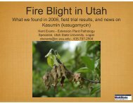 Fire Blight in Utah - Utah State Horticultural Association Homepage